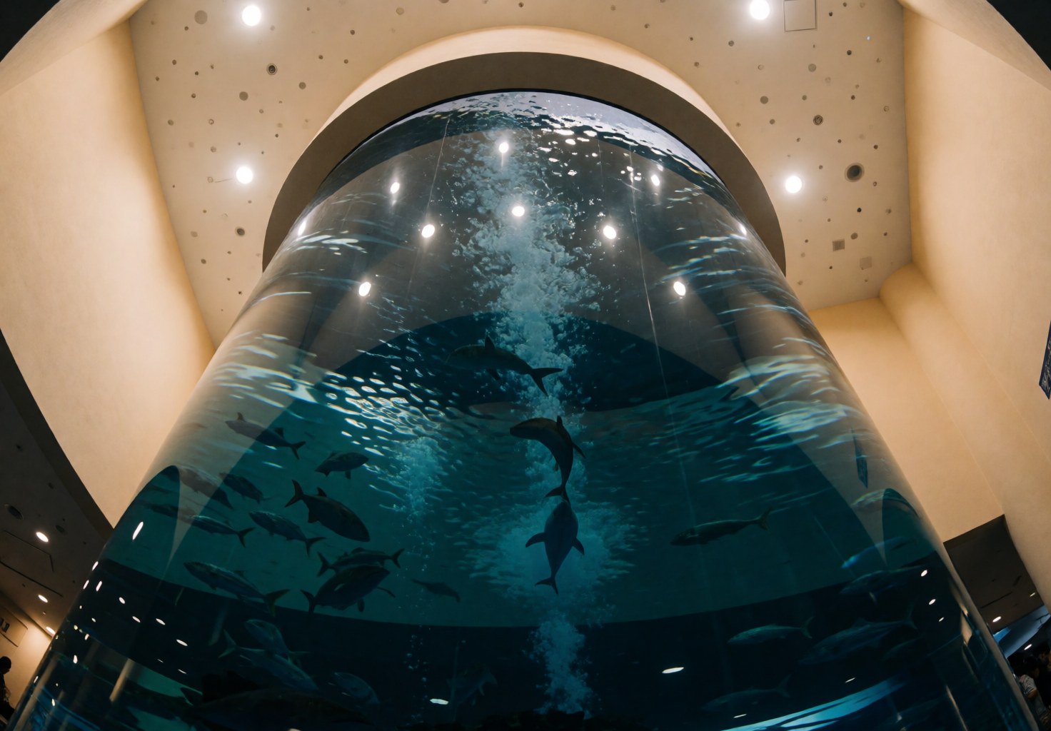 Large curved aquarium tank with fish swimming in blue water, ceiling lights reflected on the surface, beige walls, no people