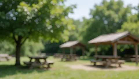 Soft focus background of an ecological park with wooden tables under green trees, providing ample space for text overlay.