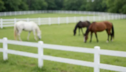 Green grass background with horses grazing and white fences, ideal for text about equestrian services.