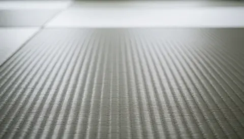 Gray tatami mats covering the floor of a dojo, providing a serene and professional background ideal for martial arts academy text overlays.