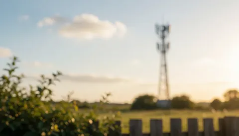 Soft background of a rural field with a telecommunications tower on the horizon, green foliage and wooden fence blurred under golden sunset light