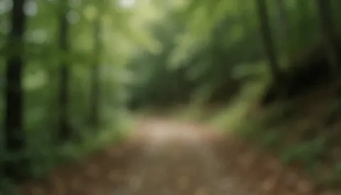 Soft focus dirt path winding through green trees in a forest, creating a calm natural background suitable for text overlays.