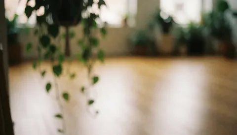 Soft light illuminates hanging plants and wooden flooring in a calm yoga studio interior, creating a relaxing background for text.