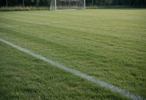 Green grass soccer field with white boundary lines and a metal goalpost, suitable for sports coaching contexts