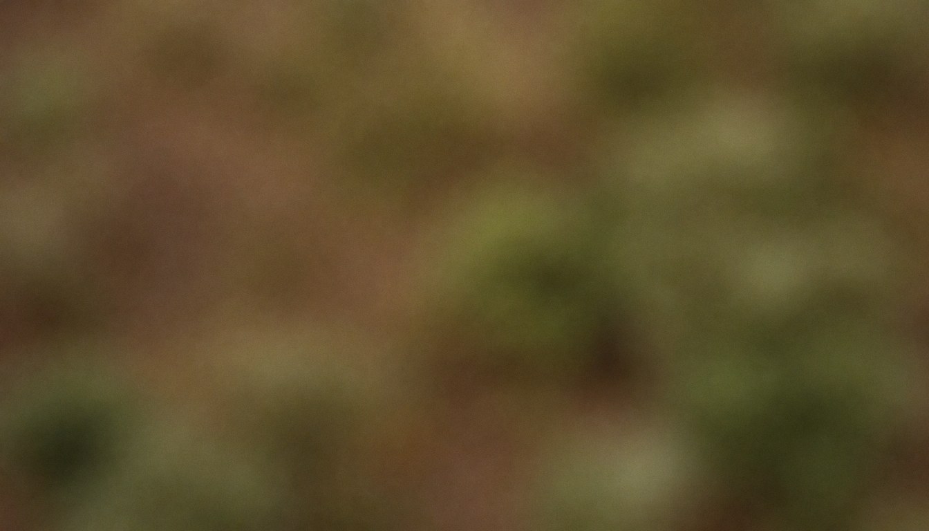 Blurred brown and green earth texture background with soft diffused lighting and bokeh, ideal for text overlay and graphic design.