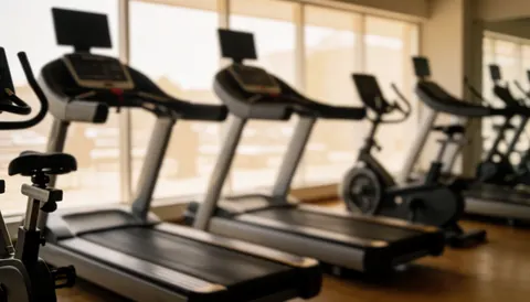 Soft warm lighting over a gym floor featuring treadmills and stationary bikes, serving as a clean background for boxing class text overlays