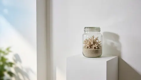 A coral jar displayed on a white pedestal against a white wall with natural lighting, suitable for underwater photography business products.