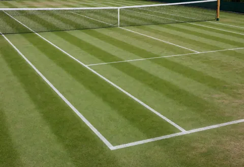A green grass tennis court featuring clear white boundary lines and a net, suitable for outdoor sports training.