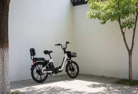 Electric bicycle with rear seat parked in a historic plaza featuring white walls and tree shadows.