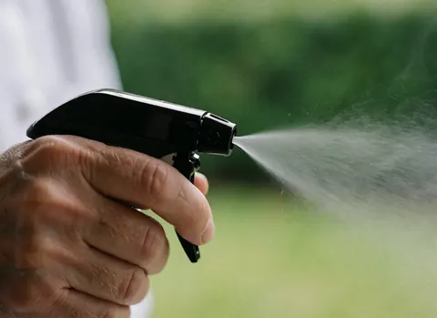 Close-up of a hand holding a spray bottle dispensing cleaning liquid against a green background, suitable for window cleaning services.
