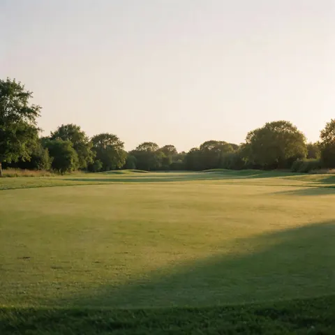 Empty golf course with perfect grass and trees in the background, illuminated by golden sunset light