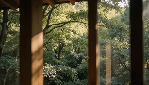 View of a green tree canopy seen through a wooden structure with dappled sunlight, suitable as a text background.