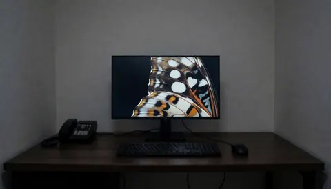 Dark desk with a monitor showing a macro butterfly image, suitable for a macro photographer's studio workspace