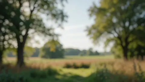 Softly blurred countryside scene featuring trees and open fields, creating a serene natural background suitable for text overlays.