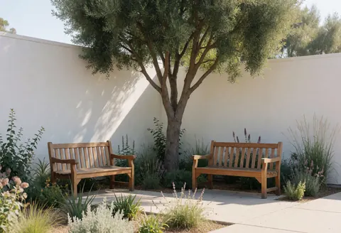 Two wooden benches situated under a large tree in an ecological park with native plants and a white wall, ideal for resting in nature.