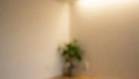 Beige wall yoga studio corner featuring a green plant and warm ambient lighting, creating a calm atmosphere suitable for text overlays.