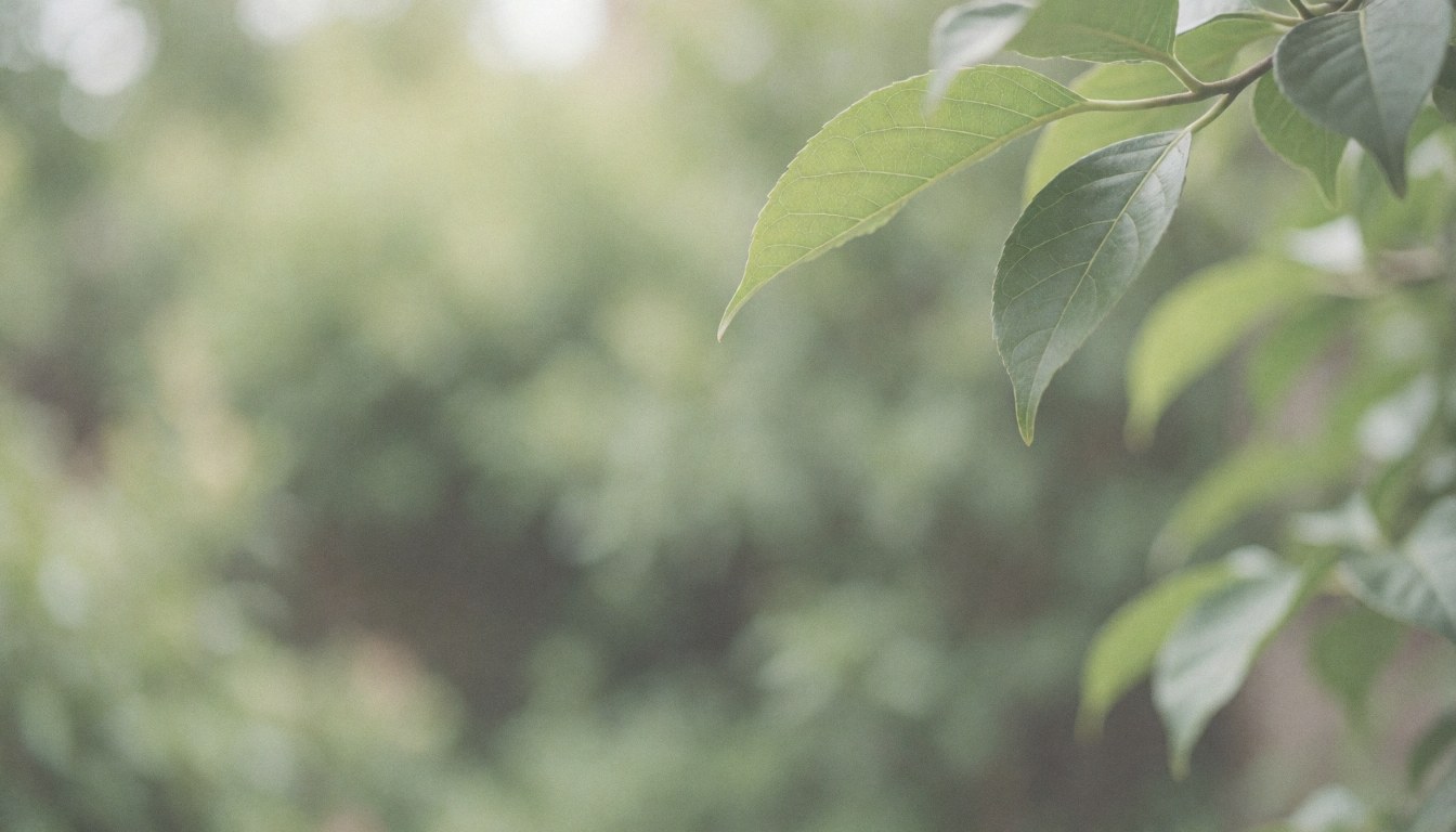Close-up green leaves with a soft blurred garden background, ideal for commercial text overlays with natural lighting.