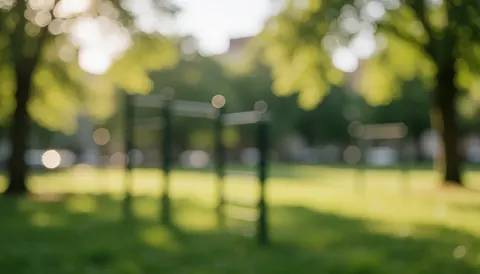 Green park background featuring a workout bar, soft sunset light, and blurred bokeh effect, suitable for personal training services