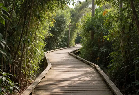A wooden path winds through lush greenery in an adventure park with filtered sunlight creating a natural atmosphere