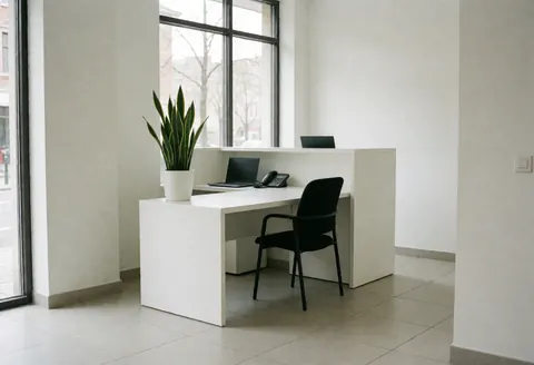 Modern sports reception area featuring a white desk, black chair, potted plant, and window with natural light