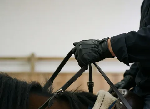 Close-up of a black gloved hand gripping leather reins on a horse's head with a blurred wooden fence background