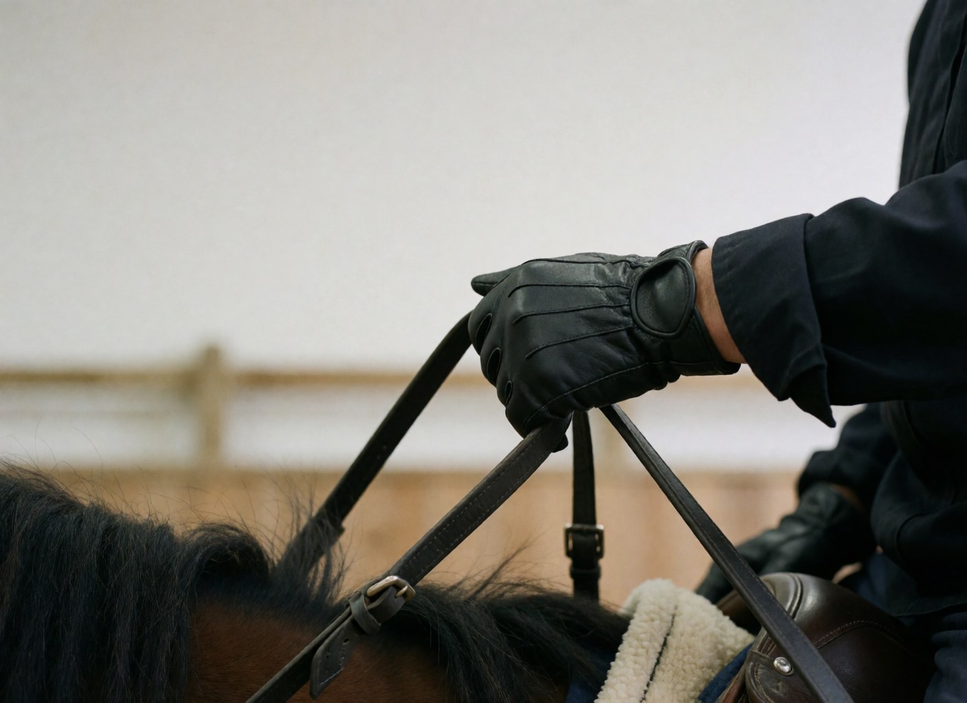 Close-up of a black gloved hand gripping leather reins on a horse's head with a blurred wooden fence background
