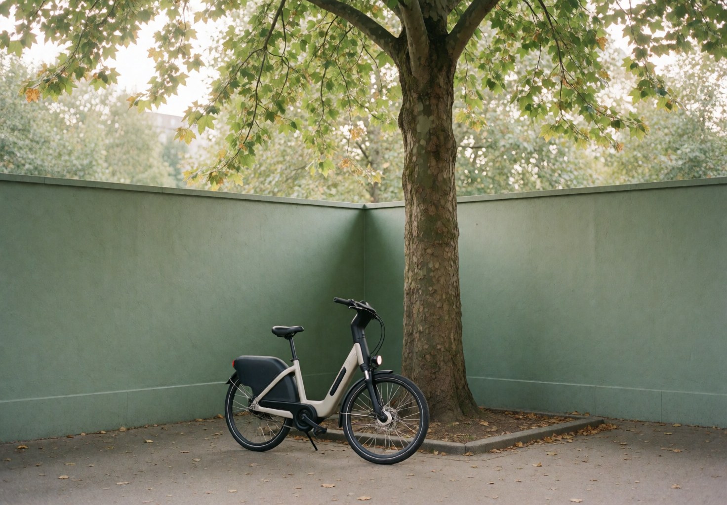 Electric taxi bicycle parked under a large tree in a plaza with a green wall and natural light