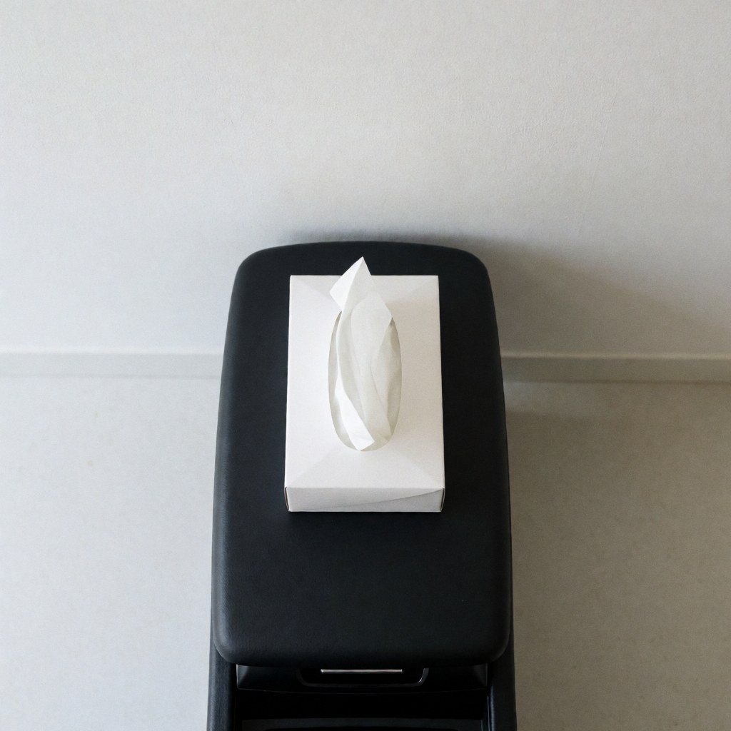 White disposable tissue box resting on a black car center console against a white wall with natural light, suitable for transportation services.