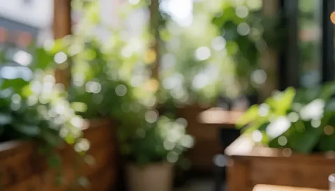 Blurred background of a coffee terrace with green plants and wooden structures under diffused light, ideal for text overlay