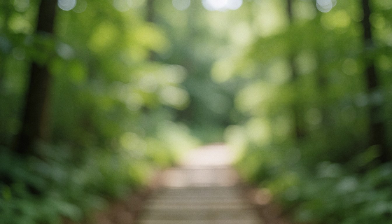 Soft focus image of a path winding through a lush green forest with natural light, suitable for camping business text overlays
