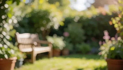 Soft focus background of a wooden bench in a garden with potted plants and natural light, suitable for senior care business content