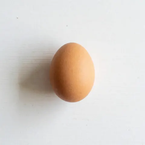 A single fresh brown egg resting on a clean white background, suitable for poultry product catalogs and menus.