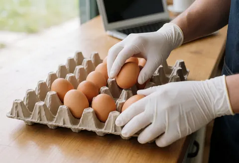 Gloved hands place brown eggs into a cardboard box on a wooden table at a poultry farm.