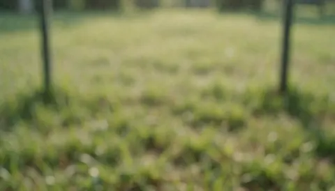Soft focus background of green grass and shadow posts on a poultry farm, ideal for text overlay