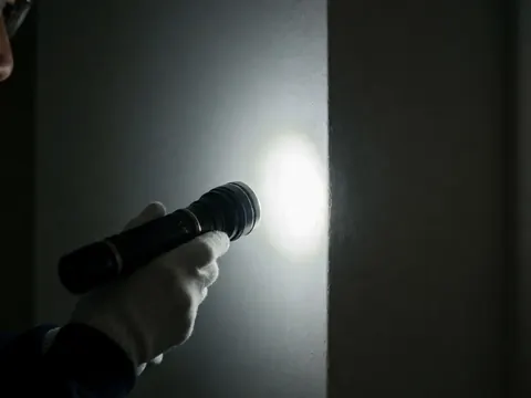 A gloved hand holds a flashlight shining on pest trails on a white wall during an inspection