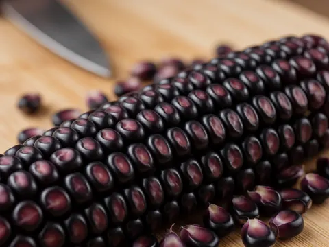Close-up of a purple corn cob with shiny kernels resting on a wooden surface, suitable for produce business use.