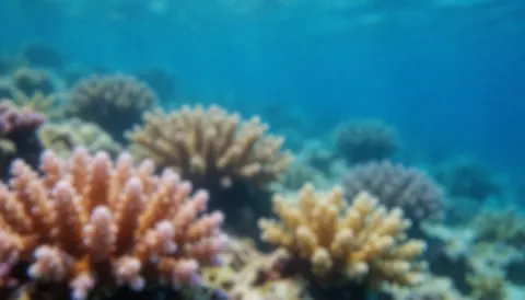 Blue underwater coral background suitable for diving school text overlay, serene and vibrant aquatic scene