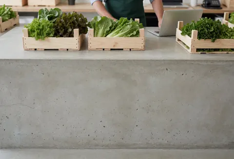 Concrete counter in a produce store with wooden boxes filled with fresh lettuce and a person working with a laptop.